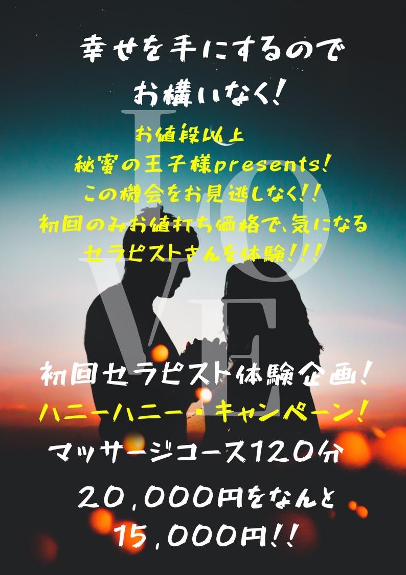 名古屋の女性風俗秘密の王子様プレゼンツHappyHolidaysキャンペーンです。